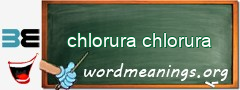 WordMeaning blackboard for chlorura chlorura